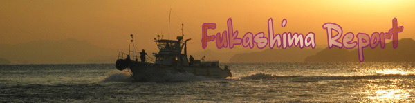 Fukashima Report